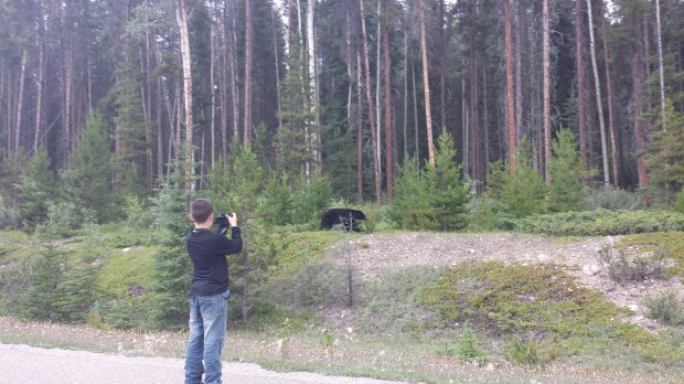 One of the world's bravest kid or the child of the world's stupidest parents. 